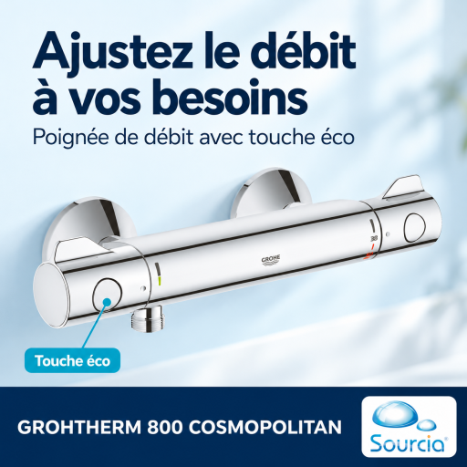 Mitigeur de douche thermostatique GROHE 800 destin� � toutes les salles de bain